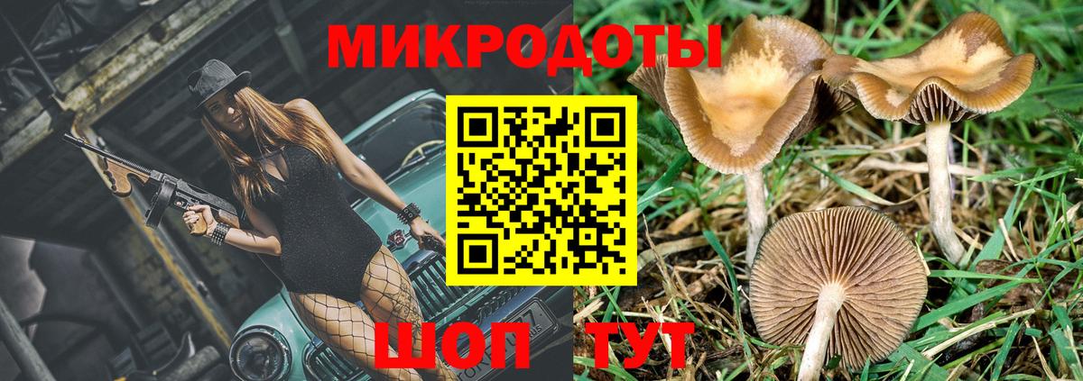 Галлюциногенные грибы Magic Shrooms Елец