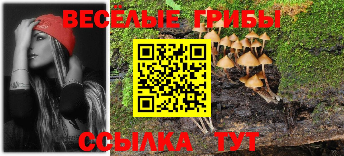 как найти закладки  Галлюциногенные грибы Psilocybe  Вход с VPN  Псилоцибиновые грибы мицелий  Елец 
